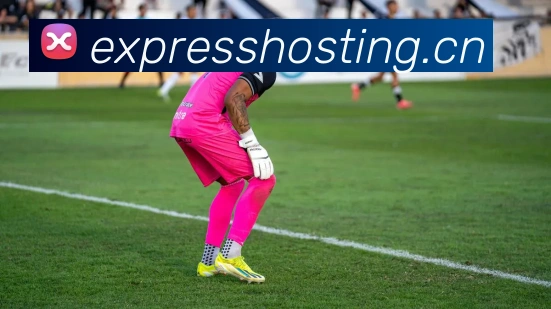 欧洲杯战报：捷克力克荷兰，晋级之路分析